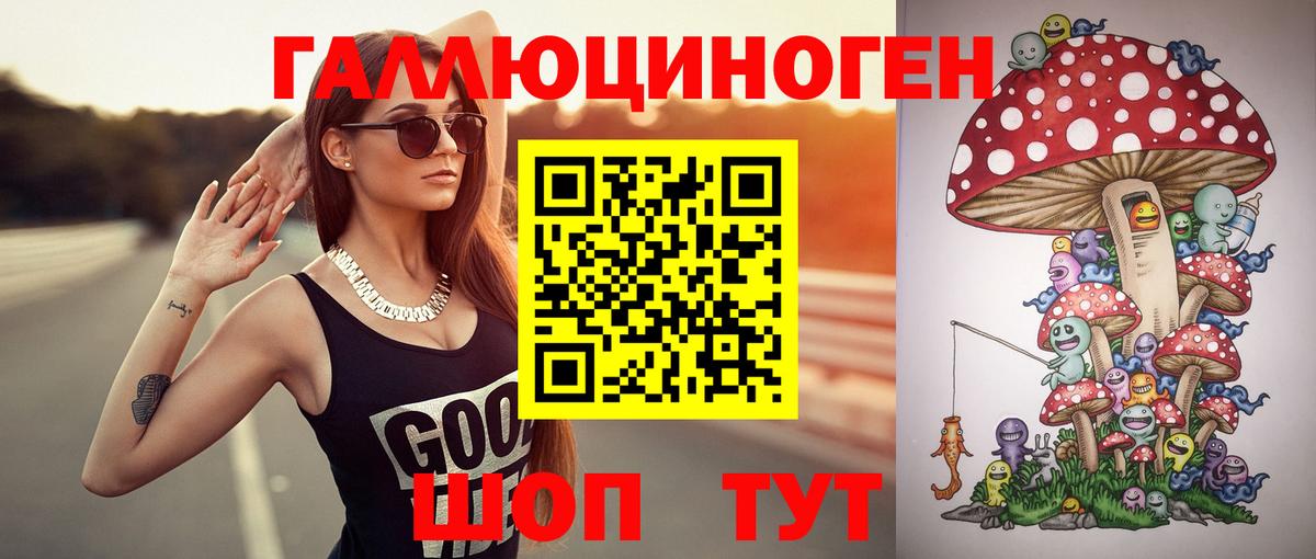 Галлюциногенные грибы GOLDEN TEACHER  Псилоцибиновые грибы Psilocybine cubensis  Вход с VPN  купить  цена  Кириши 
