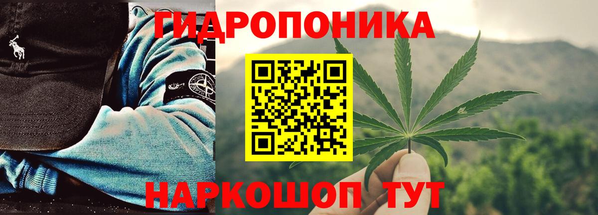 Бошки Шишки Amnesia  Конопля тримм  Вход с VPN  Кириши  Бошки марихуана гибрид 